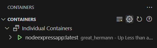 Running service container